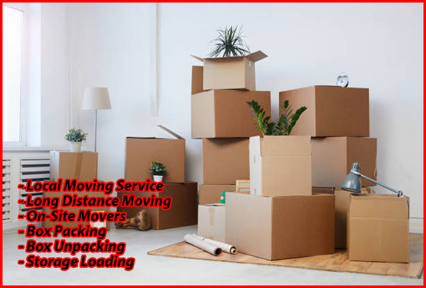 Packers And Movers Noida Sector 159